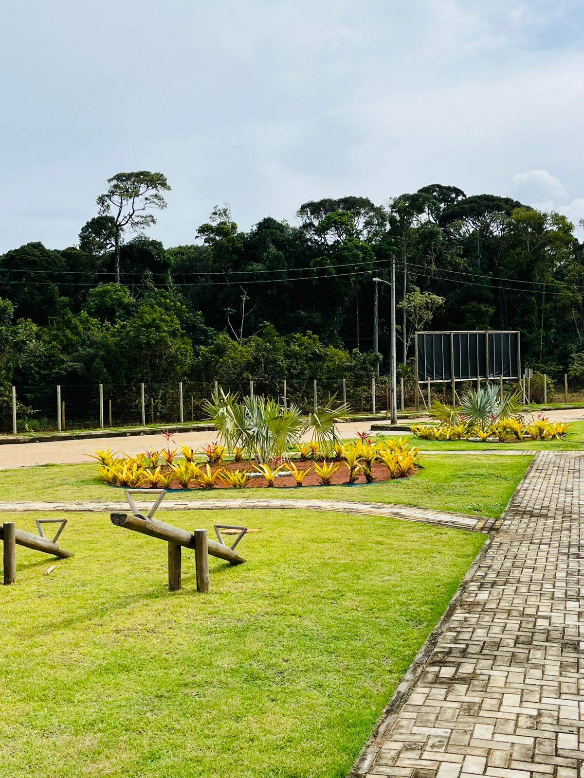 Terreno, 884 hectares - Foto 10