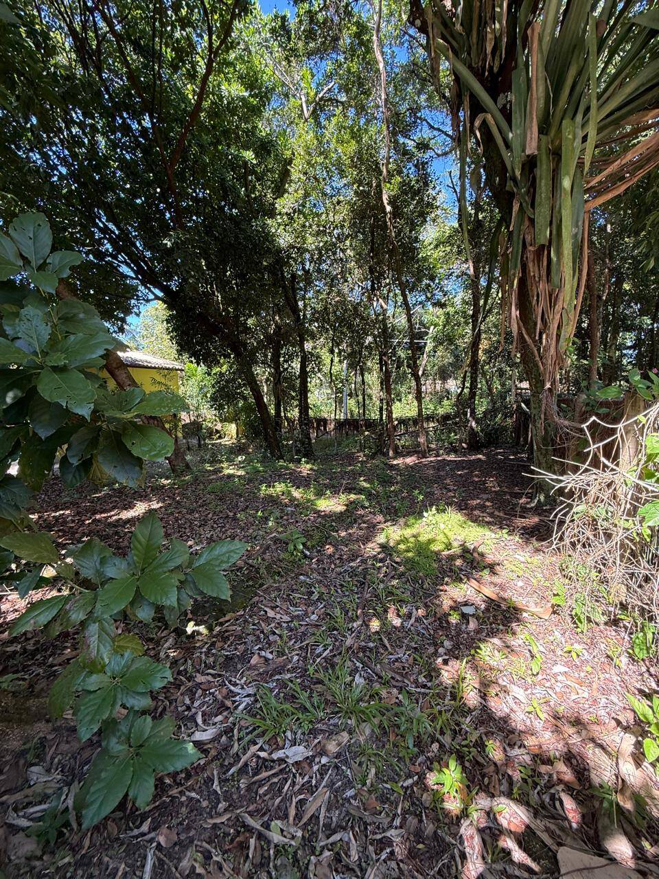 Terreno, 300 m² - Foto 2