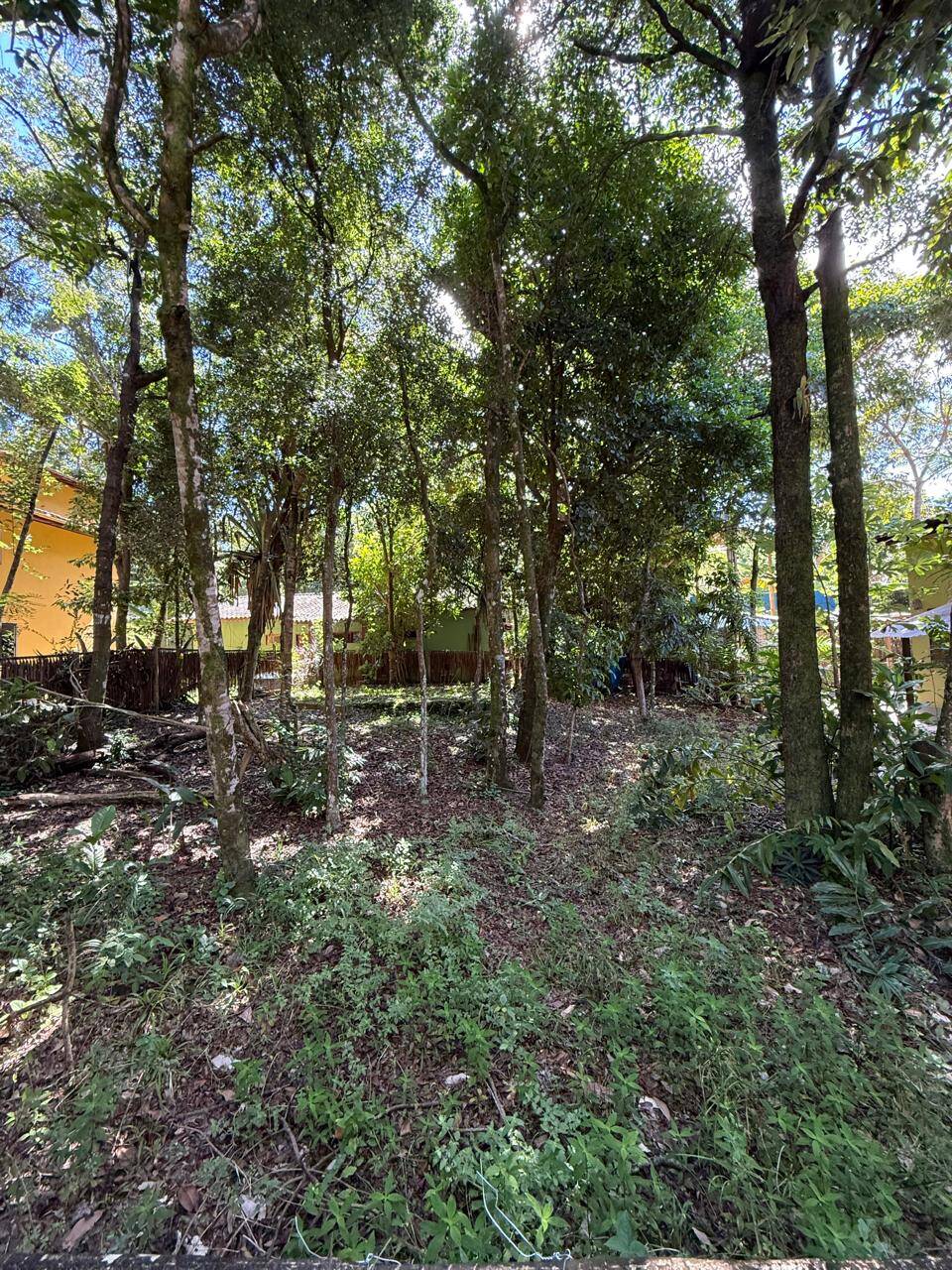 Terreno, 300 m² - Foto 3
