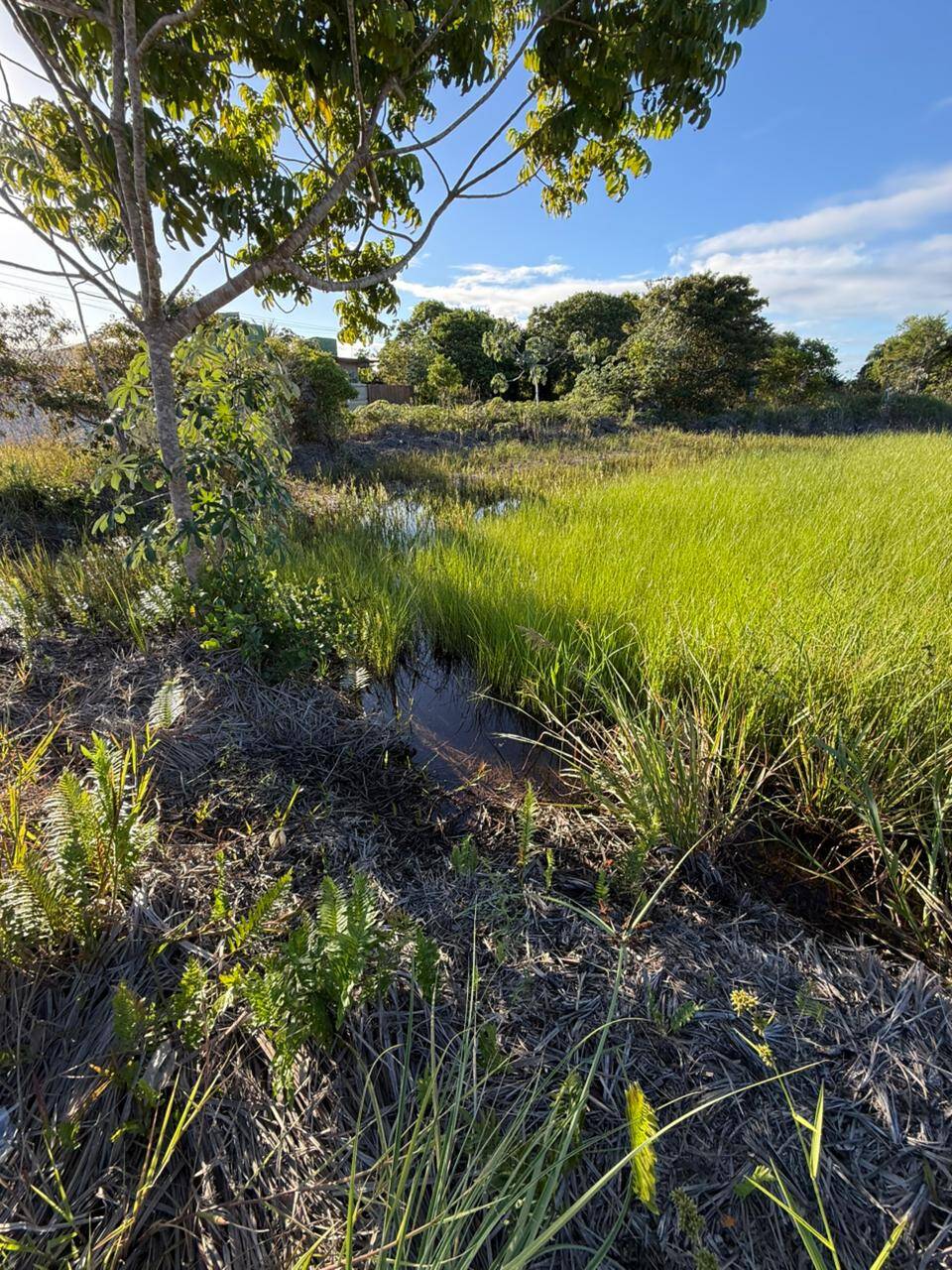 Terreno, 300 m² - Foto 2