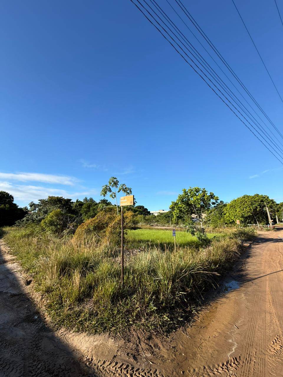 Terreno, 300 m² - Foto 5
