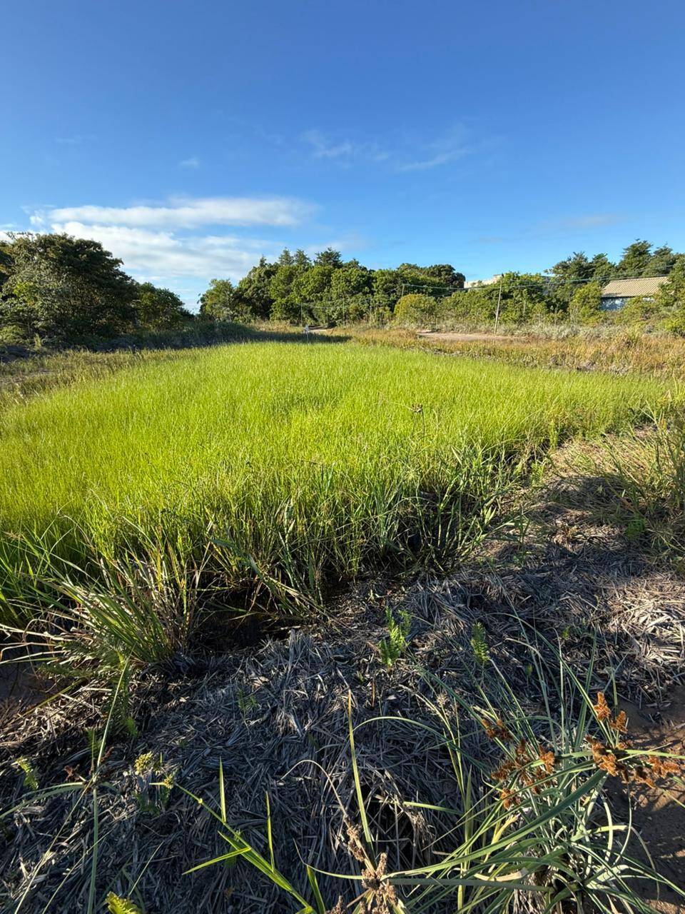 Terreno, 300 m² - Foto 3