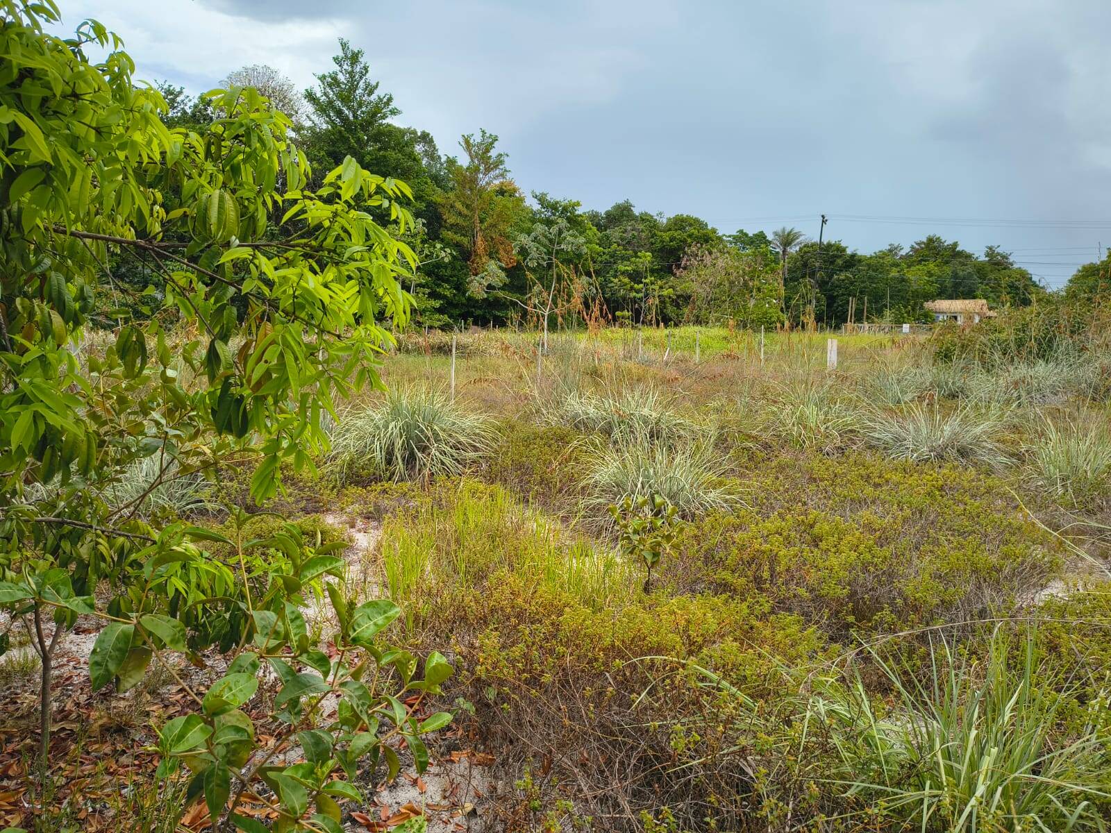 Terreno, 420 m² - Foto 4