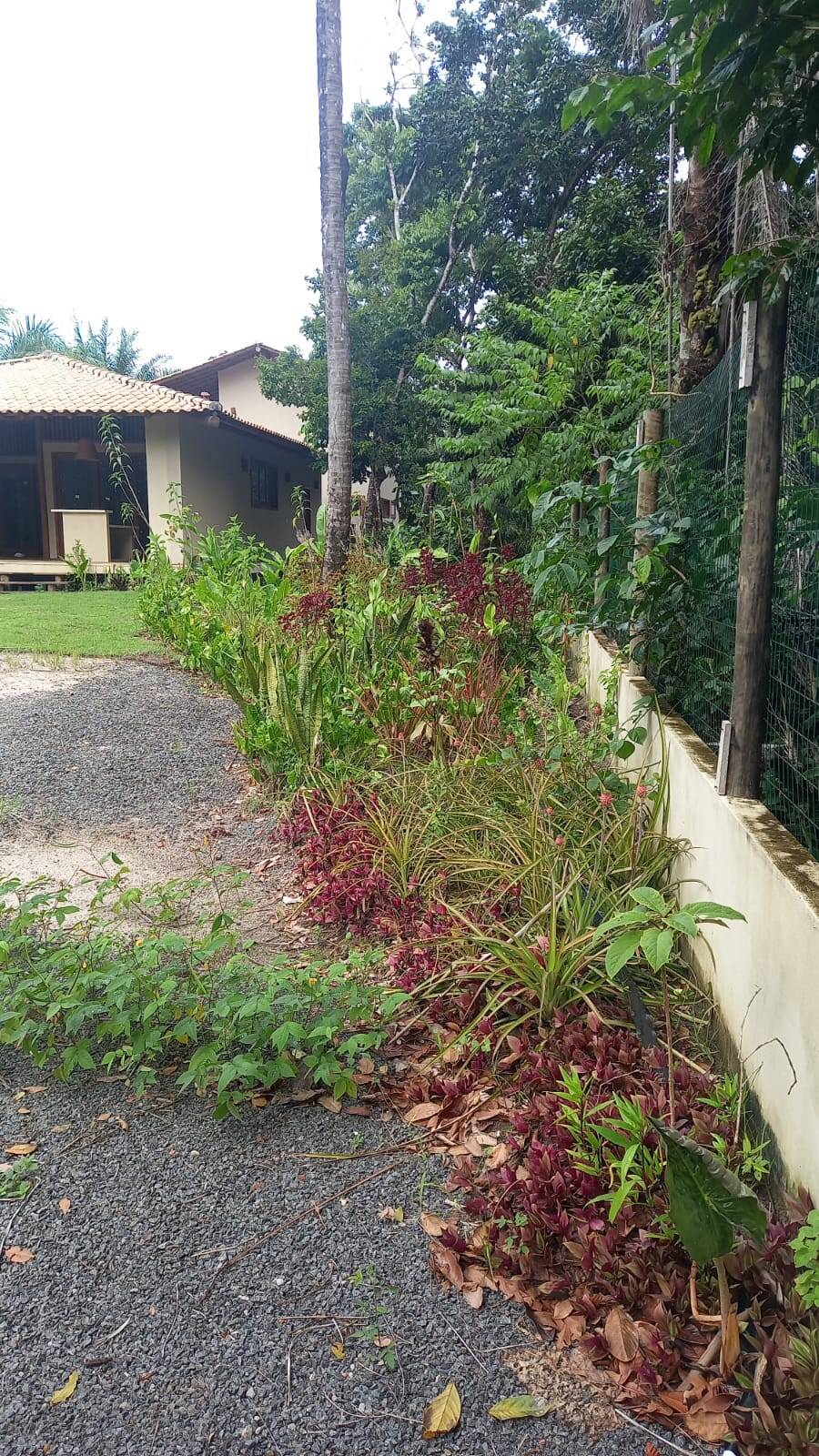Casa, 3 quartos, 350 m² - Foto 9