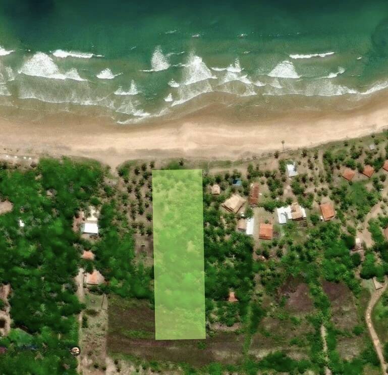 Terreno, 10000 m² - Foto 1
