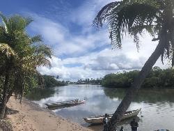 #254 - Área para Venda em Marau - BA