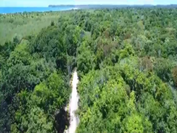 Área para Venda em Marau - 5