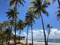 #282 - Área para Venda em Marau - BA
