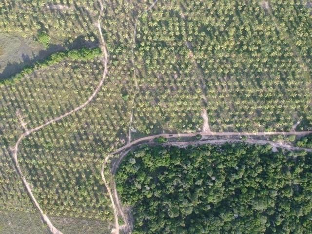#292 - Área para Venda em Marau - BA