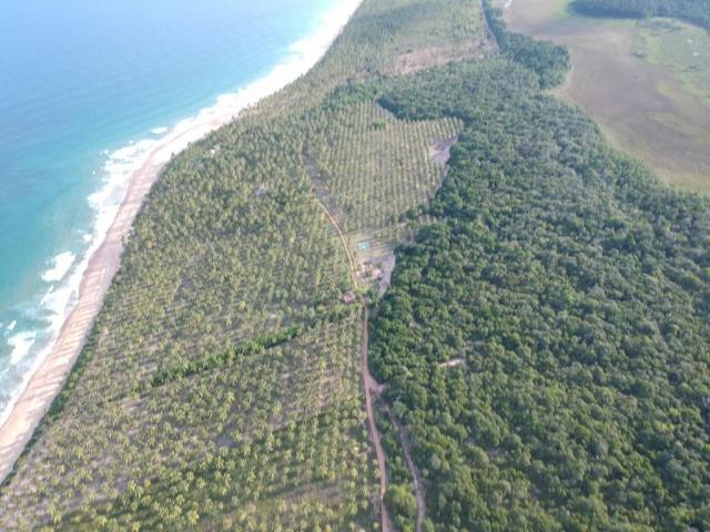 Área para Venda em Marau - 5