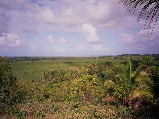 Área para Venda em Marau - 4