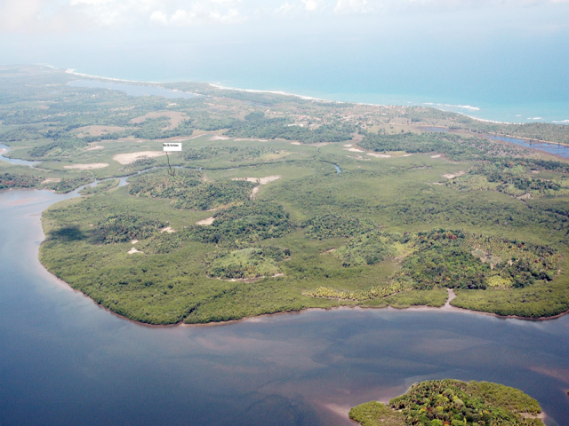 #295 - Área para Venda em Marau - BA