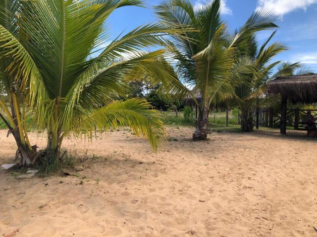 #326 - Casa para Venda em Marau - BA