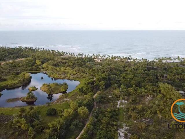#341 - Área para Venda em Marau - BA - 1