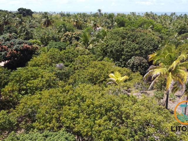 Terreno para Venda em Marau - 5