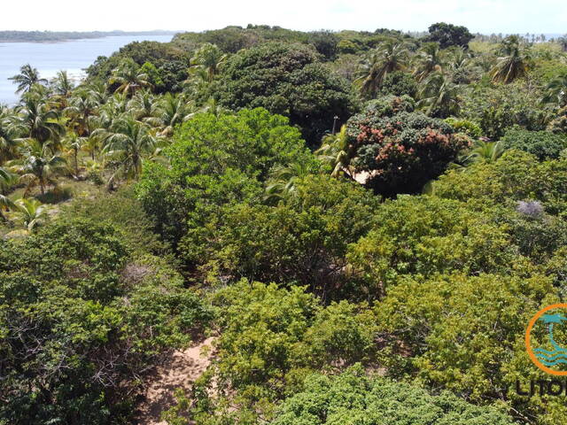 Terreno para Venda em Marau - 4