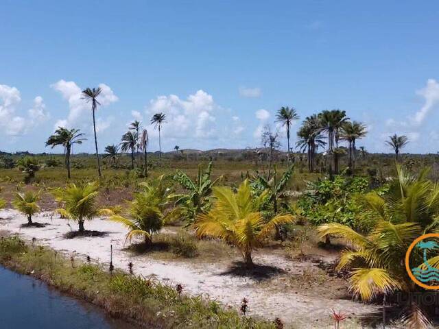 Sítio para Venda em Marau - 4