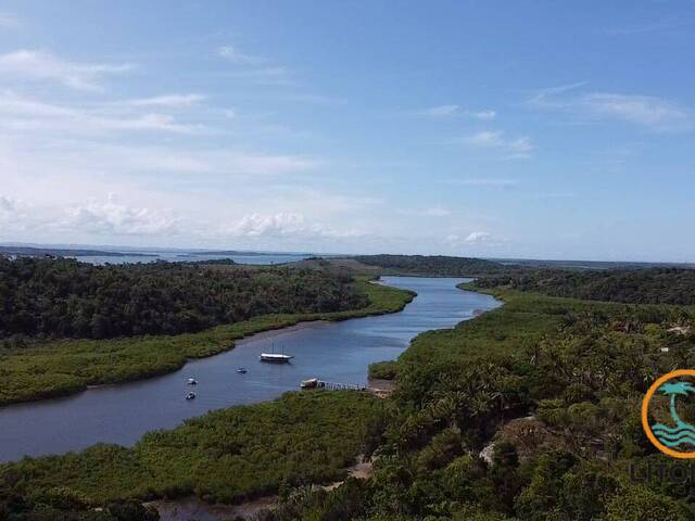 #389 - Área para Venda em Marau - BA