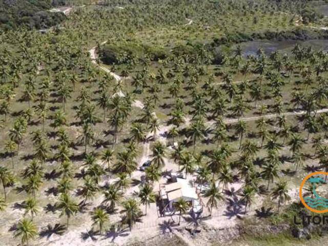 Área para Venda em Marau - 5