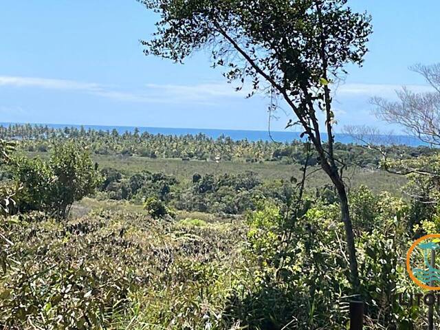 #415 - Área para Venda em Marau - BA