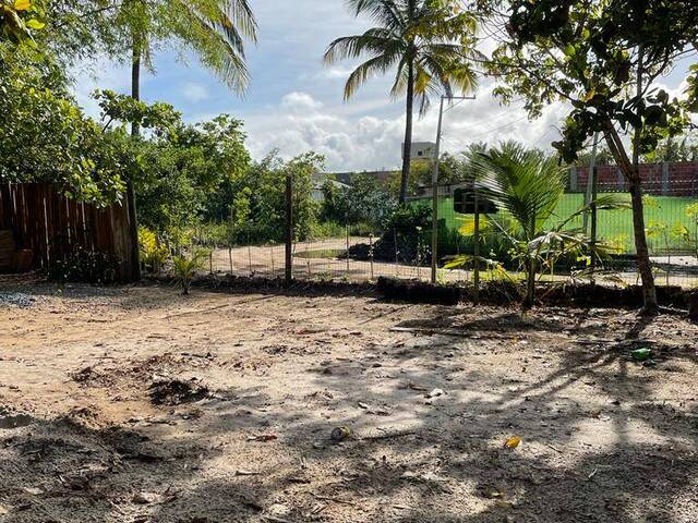 Apartamento para Venda em Marau - 5
