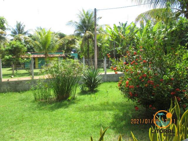 Casa para Venda em Marau - 5