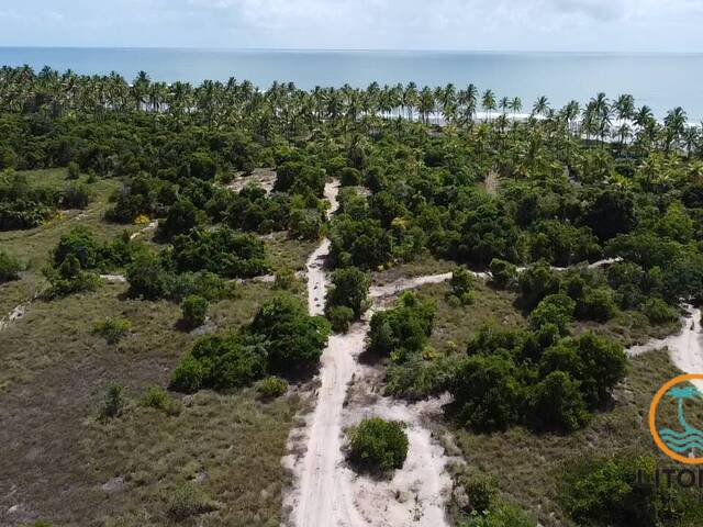 Área para Venda em Marau - 5