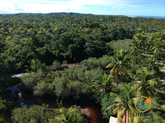 #473 - Área para Venda em Marau - BA - 3