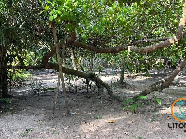 #474 - Área para Venda em Marau - BA - 3
