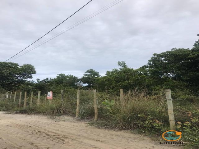 Área para Venda em Marau - 4