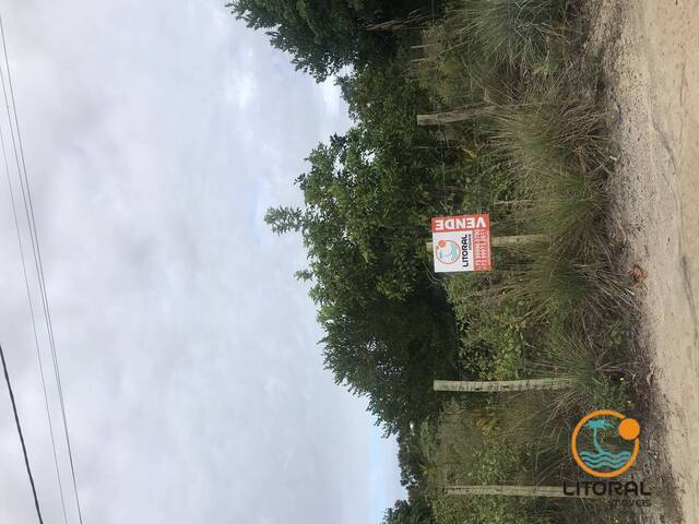 Área para Venda em Marau - 5