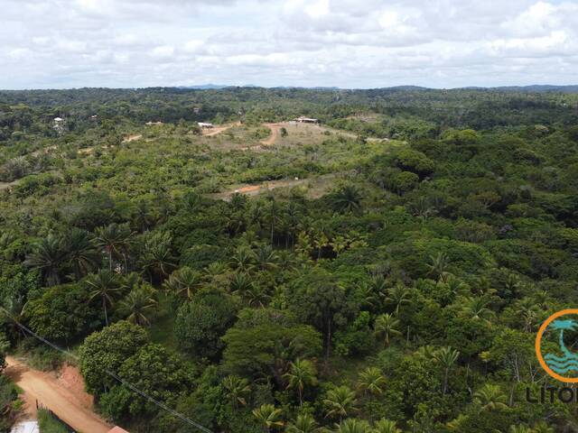 #523 - Área para Venda em Itacaré - BA - 1