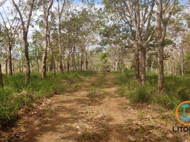 Área para Venda em Marau - 4