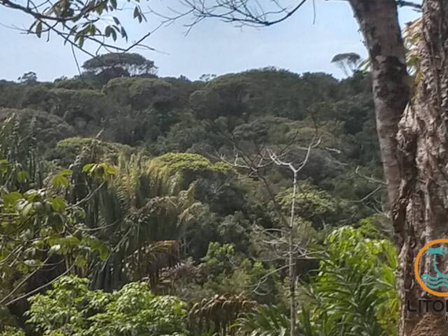 Área para Venda em Marau - 5