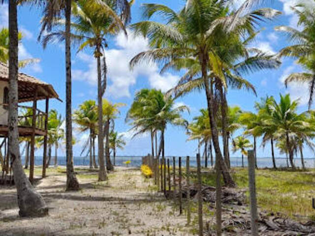 Casa para Venda em Igrapiúna - 5