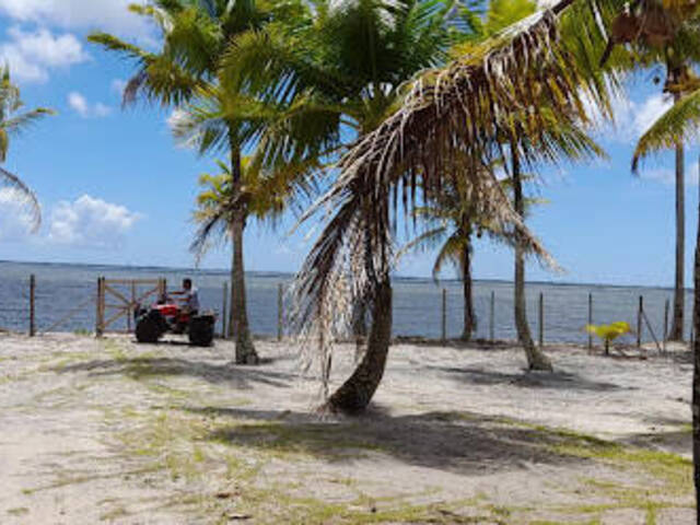 Casa para Venda em Igrapiúna - 4