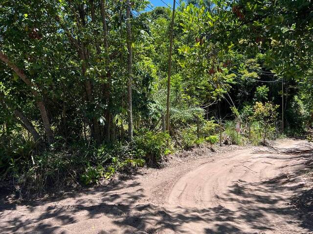 Terreno para Venda em Marau - 5