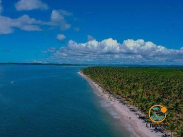#593 - Área para Venda em Marau - BA