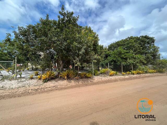 Terreno para Venda em Marau - 5