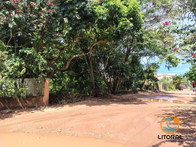 #621 - Terreno para Venda em Marau - BA