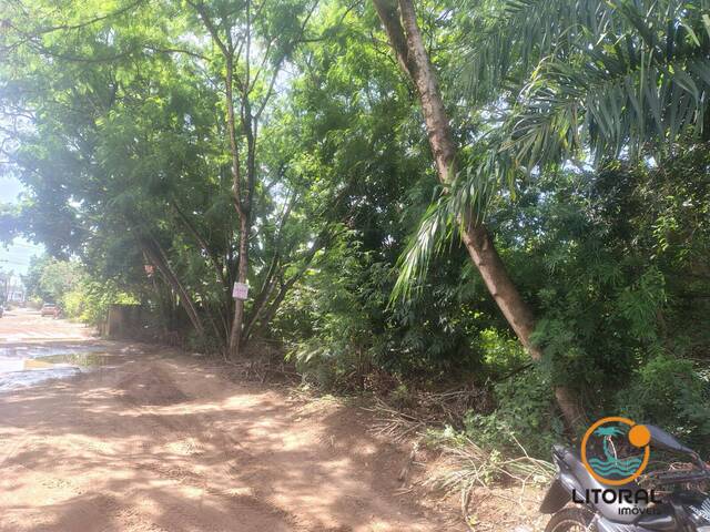 Terreno para Venda em Marau - 4