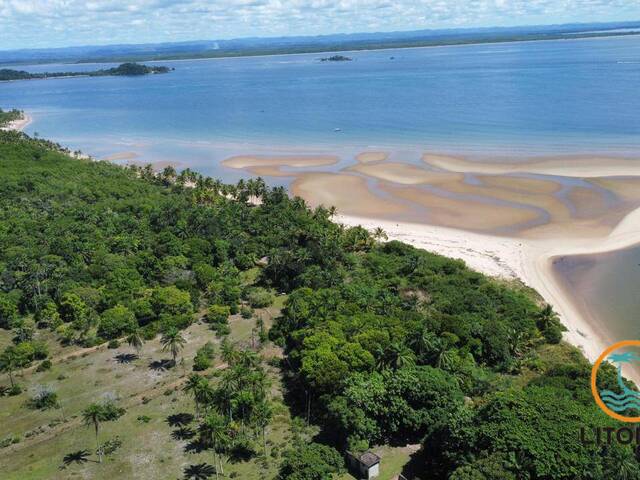 #635 - Área para Venda em Marau - BA