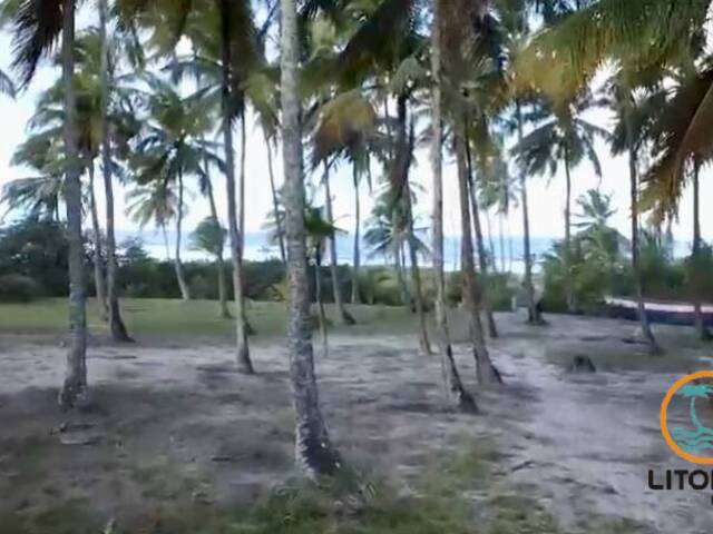 #652 - Área para Venda em Marau - BA