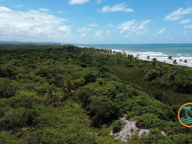 #654 - Fazenda para Venda em Ilhéus - BA