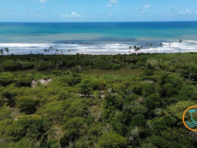 #654 - Fazenda para Venda em Ilhéus - BA