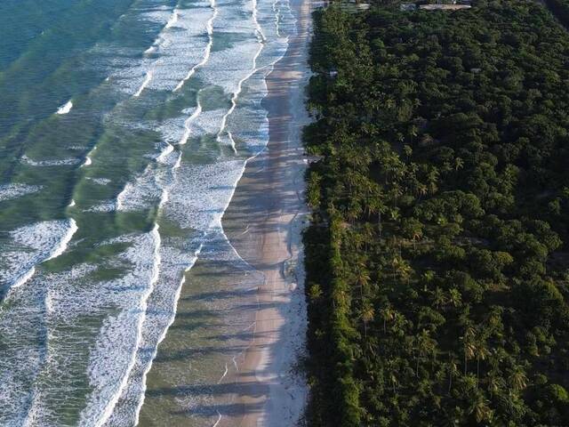 #655 - Área para Venda em Uruçuca - BA