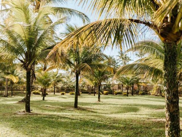 #655 - Área para Venda em Uruçuca - BA