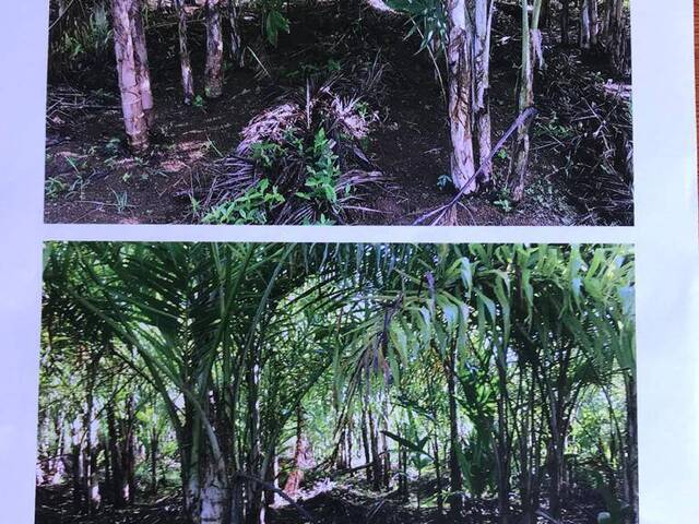Fazenda para Venda em Itacaré - 5