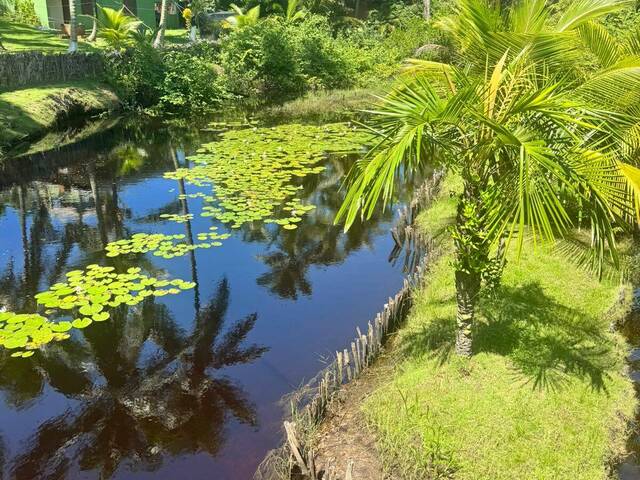 Sítio para Venda em Marau - 5