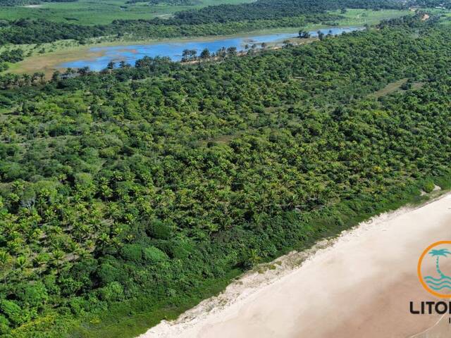 #659 - Área para Venda em Marau - BA